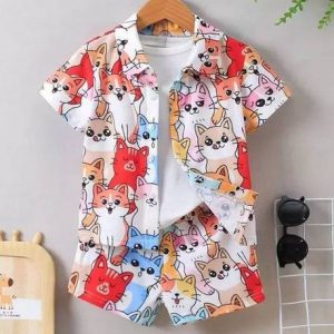 Baby Boys Casual Shirt Pant